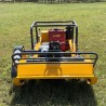 Schäubli Bot Raupenmäher SB-1000S